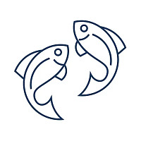 asagifish.ru